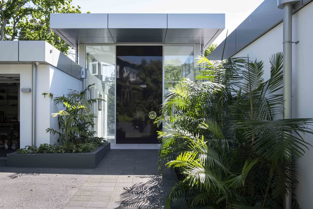 Gaussia spirituana in modern house entrance planter